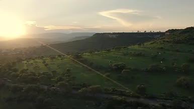 草原风景牛羊牧场视频的预览图